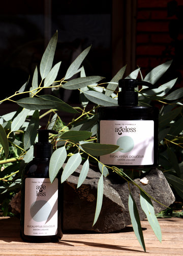 Eucalyptus Douceur - Savon pour les mains