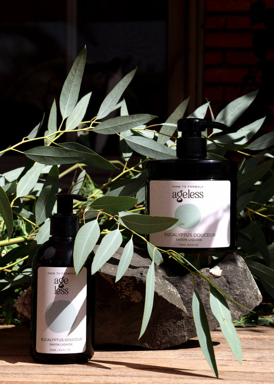 Eucalyptus Douceur - Savon pour les mains